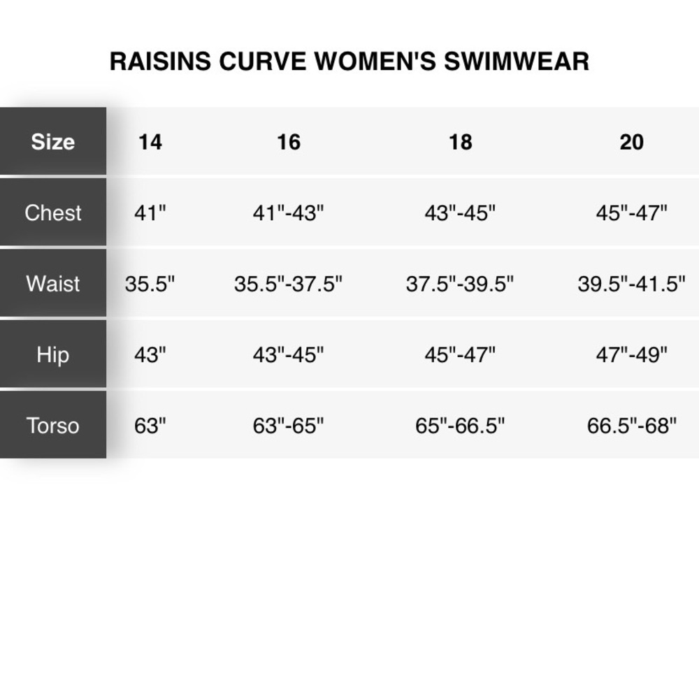 Raisins Curve Byron Bay Onepiece Swimsuit NWT - Picture 8 of 8